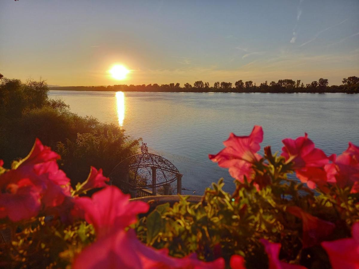 Vila Jugovo S Smederevo Buitenkant foto